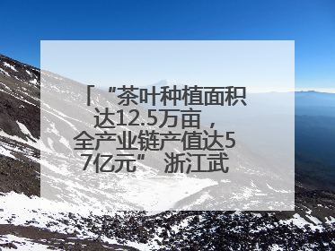 “茶叶种植面积达12.5万亩，全产业链产值达57亿元” 浙江武义茶产业全链发展“加速度”