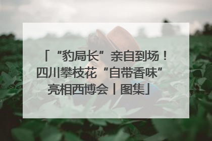 “豹局长”亲自到场！四川攀枝花“自带香味”亮相西博会丨图集