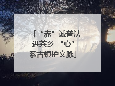 “赤”诚普法进茶乡 “心”系古镇护文脉