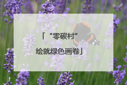 “零碳村” 绘就绿色画卷