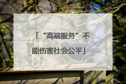 “高端服务”不能伤害社会公平