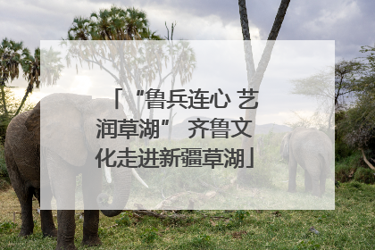 “鲁兵连心 艺润草湖” 齐鲁文化走进新疆草湖
