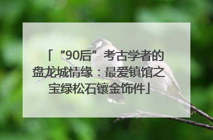 “90后”考古学者的盘龙城情缘：最爱镇馆之宝绿松石镶金饰件