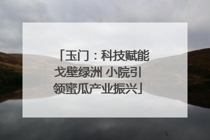 玉门：科技赋能戈壁绿洲 小院引领蜜瓜产业振兴