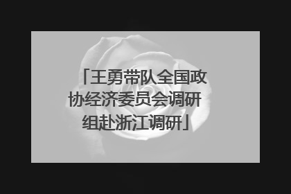 王勇带队全国政协经济委员会调研组赴浙江调研