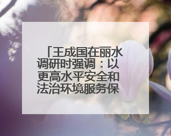 王成国在丽水调研时强调：以更高水平安全和法治环境服务保障山区海岛县高质量发展