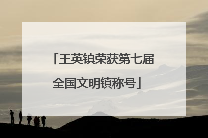 王英镇荣获第七届全国文明镇称号