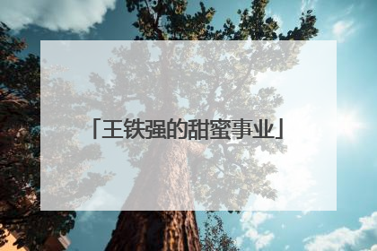 王铁强的甜蜜事业