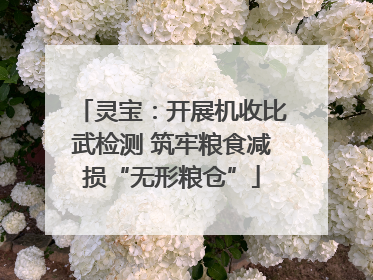 灵宝：开展机收比武检测 筑牢粮食减损“无形粮仓”