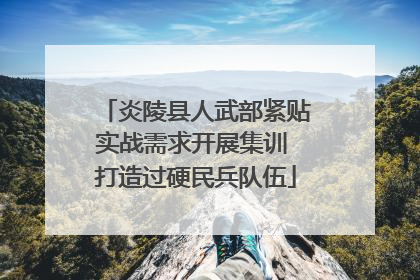 炎陵县人武部紧贴实战需求开展集训 打造过硬民兵队伍