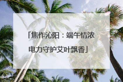 焦作沁阳：端午情浓 电力守护艾叶飘香