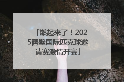 燃起来了！2025鹤壁国际匹克球邀请赛激情开赛