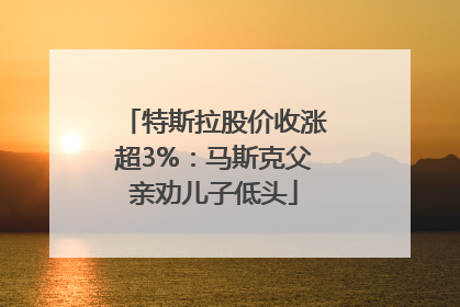 特斯拉股价收涨超3%：马斯克父亲劝儿子低头
