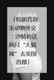 特朗普迎来动物外交：沙特将送两只“大猫咪”去美国首都