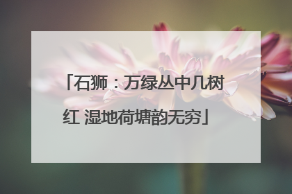 石狮：万绿丛中几树红 湿地荷塘韵无穷