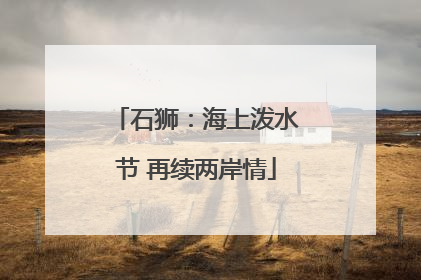 石狮：海上泼水节 再续两岸情