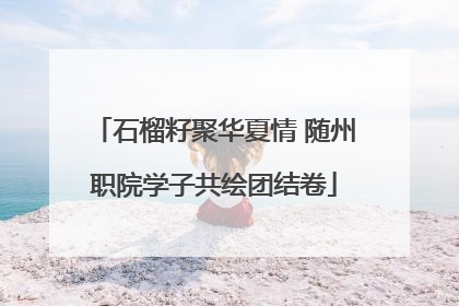 石榴籽聚华夏情 随州职院学子共绘团结卷