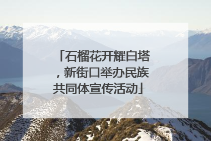 石榴花开耀白塔，新街口举办民族共同体宣传活动