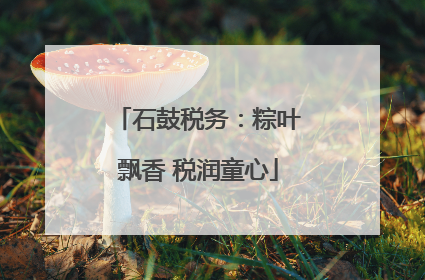 石鼓税务：粽叶飘香 税润童心