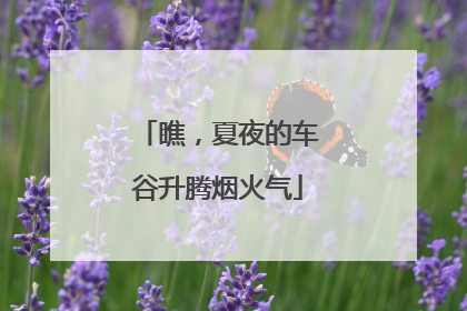 瞧，夏夜的车谷升腾烟火气