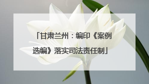 甘肃兰州：编印《案例选编》落实司法责任制