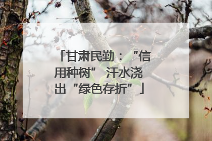 甘肃民勤：“信用种树” 汗水浇出“绿色存折”