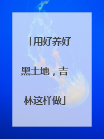 用好养好黑土地，吉林这样做