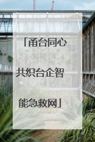 甬台同心共织台企智能急救网