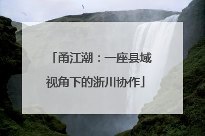 甬江潮：一座县域视角下的浙川协作