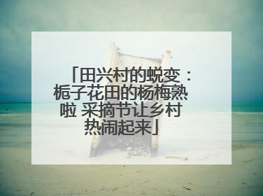 田兴村的蜕变：栀子花田的杨梅熟啦 采摘节让乡村热闹起来
