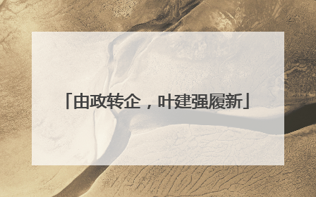 由政转企，叶建强履新