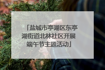 盐城市亭湖区东亭湖街道北林社区开展端午节主题活动