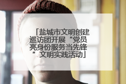 盐城市文明创建巡访团开展“党员亮身份服务当先锋”文明实践活动