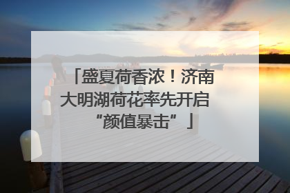 盛夏荷香浓！济南大明湖荷花率先开启“颜值暴击”