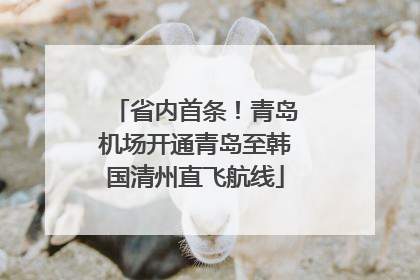 省内首条！青岛机场开通青岛至韩国清州直飞航线