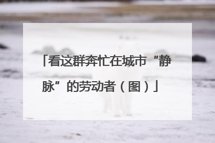 看这群奔忙在城市“静脉”的劳动者（图）