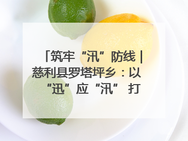 筑牢“汛”防线｜慈利县罗塔坪乡：以“迅”应“汛” 打赢暴雨防御战