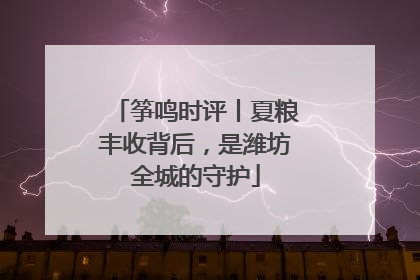 筝鸣时评丨夏粮丰收背后，是潍坊全城的守护
