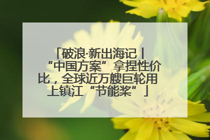 破浪·新出海记丨 “中国方案”拿捏性价比，全球近万艘巨轮用上镇江“节能桨”