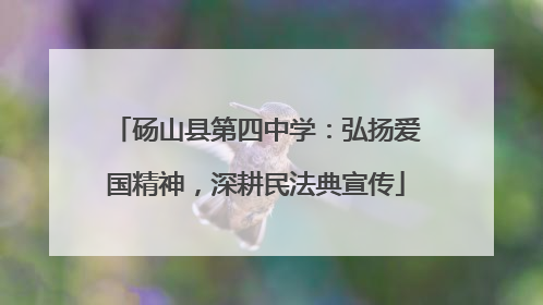砀山县第四中学：弘扬爱国精神，深耕民法典宣传