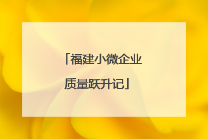 福建小微企业质量跃升记