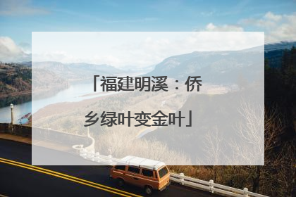 福建明溪：侨乡绿叶变金叶