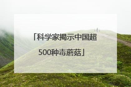 科学家揭示中国超500种毒蘑菇