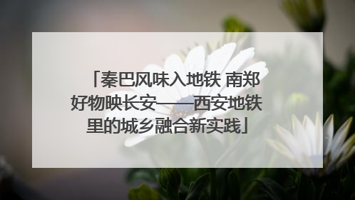 秦巴风味入地铁 南郑好物映长安——西安地铁里的城乡融合新实践