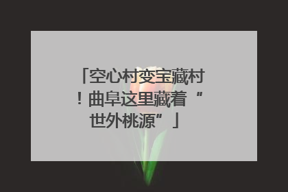 空心村变宝藏村！曲阜这里藏着“世外桃源”