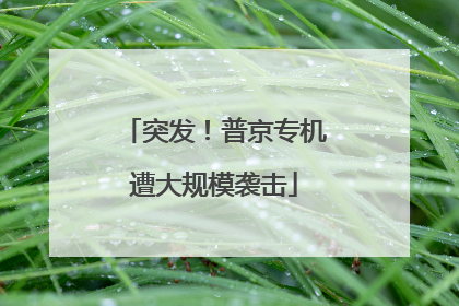 突发！普京专机遭大规模袭击