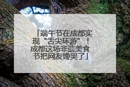 端午节在成都实现“舌尖环游”！成都这场非遗美食节把网友馋哭了