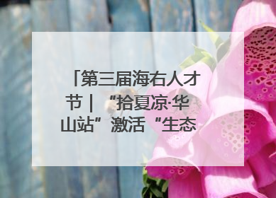 第三届海右人才节｜“拾夏凉·华山站”激活“生态聚才”强磁场