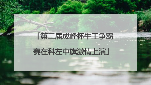 第二届成峰杯牛王争霸赛在科左中旗激情上演
