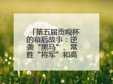 第五届贡嘎杯的幕后故事：逆袭“黑马”、常胜“将军”和高原上的“体育奇迹”丨微纪录